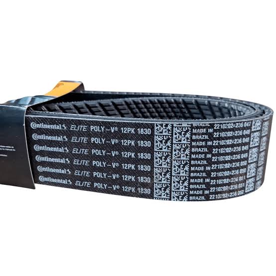 Correia poly v